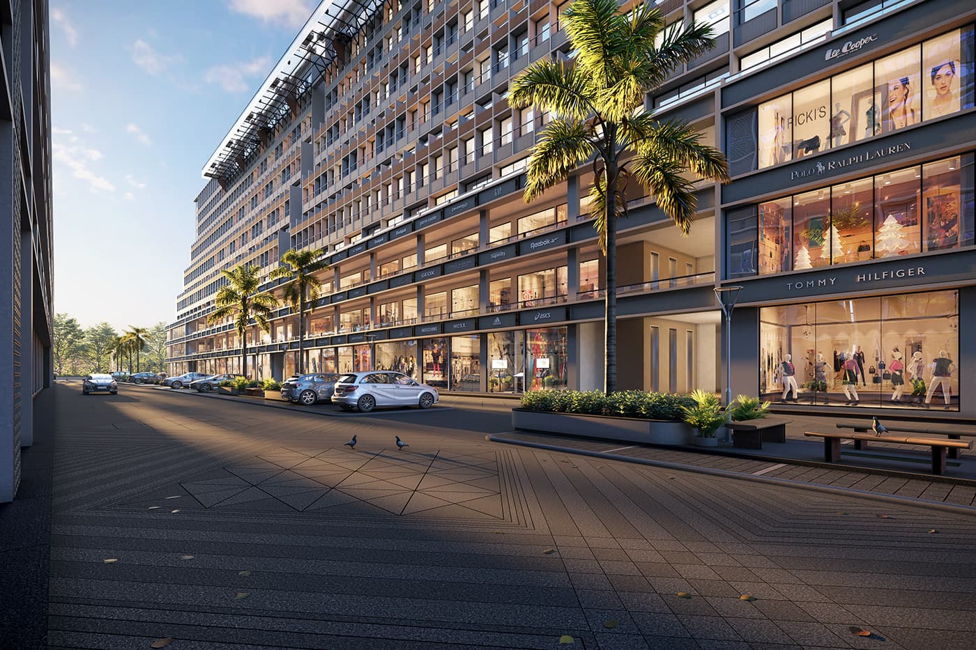 Money Plant High Street